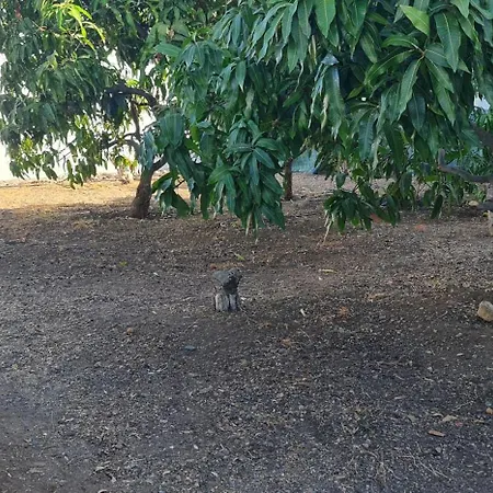 Casa de Férias Llanos *
