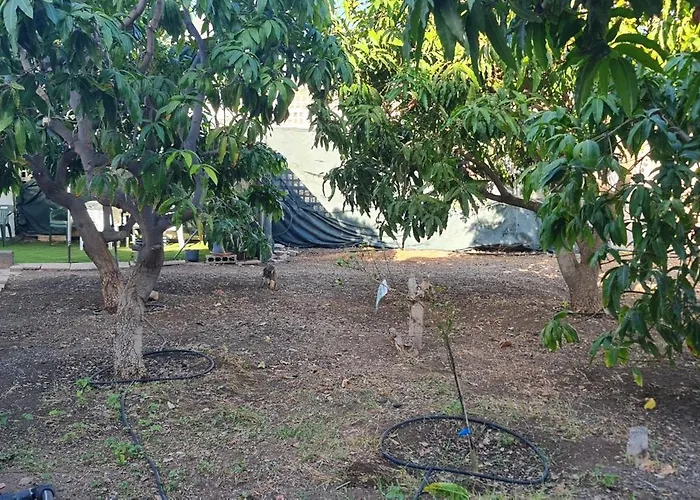 Сasa de vacaciones Llanos